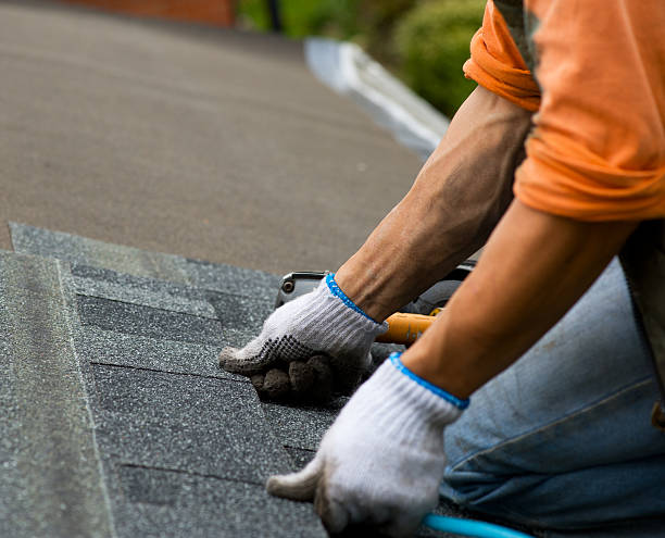 Best Roof Gutter Cleaning  in East Canton, OH